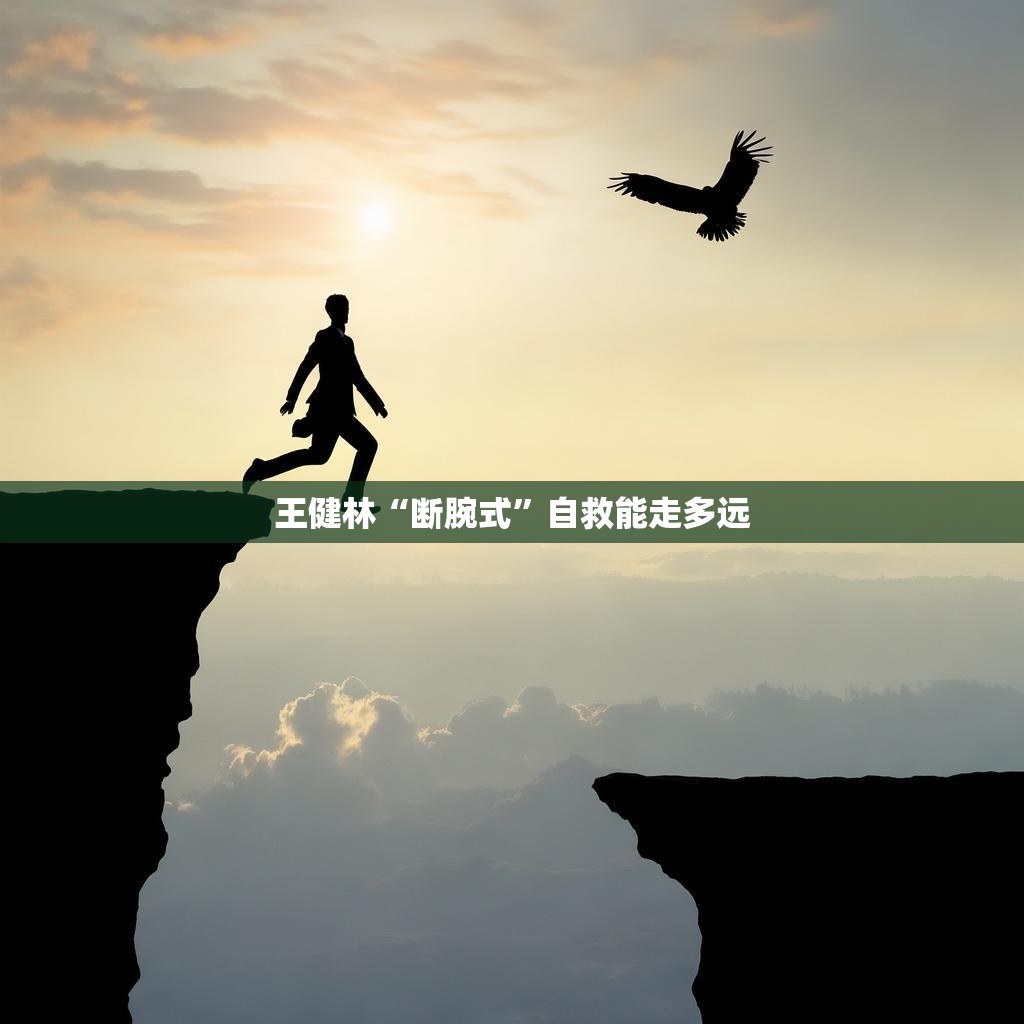 王健林‘断腕式’自救之路的探索