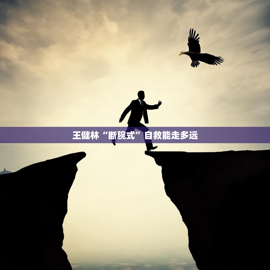 王健林‘断腕式’自救之路的持续努力